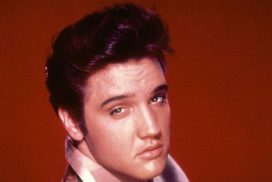Perruque Elvis Presley
