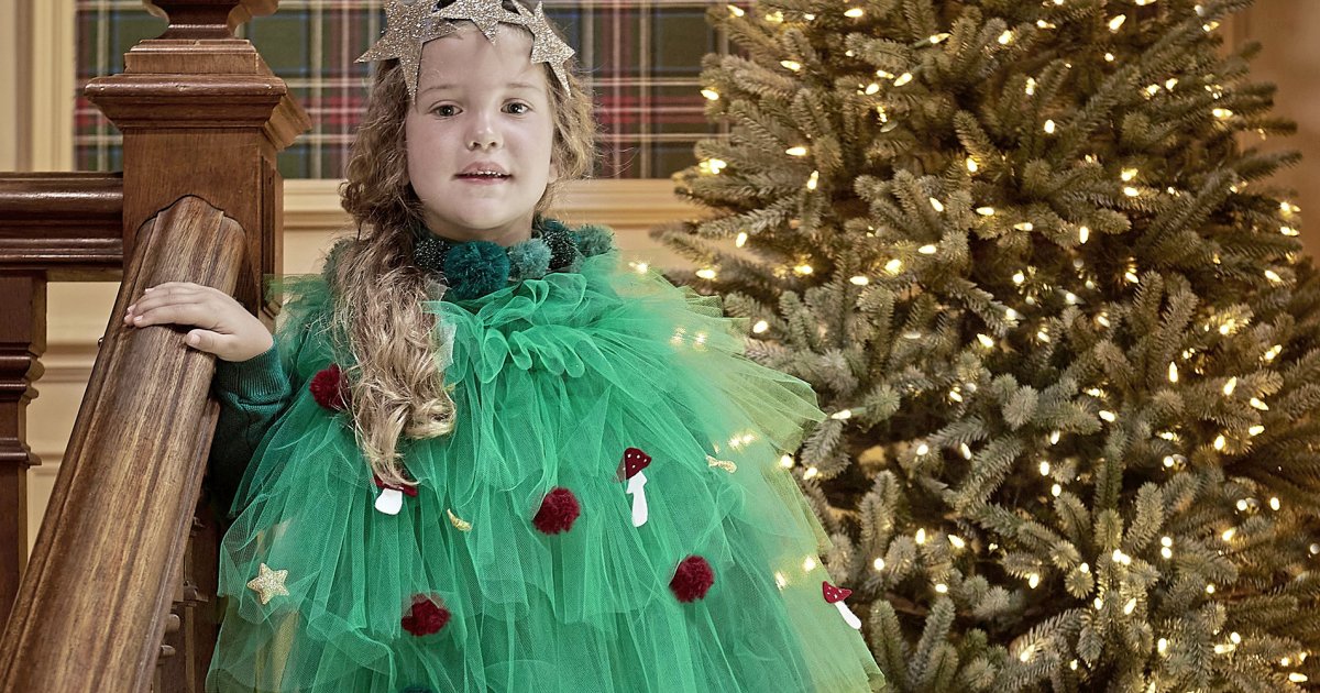 Deguisement Sapin de Noel