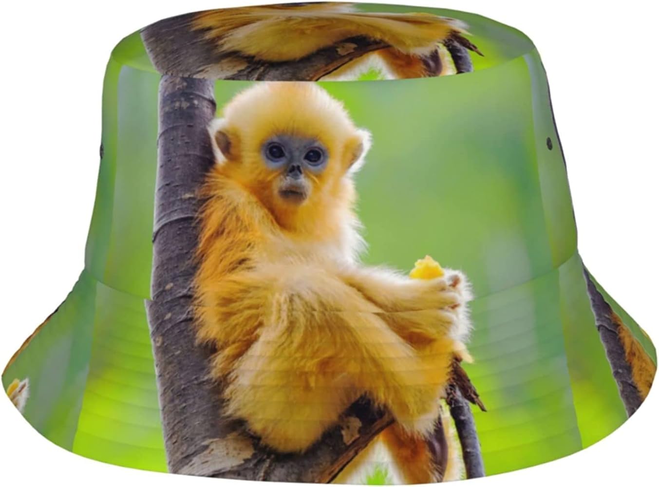 chapeau singe
