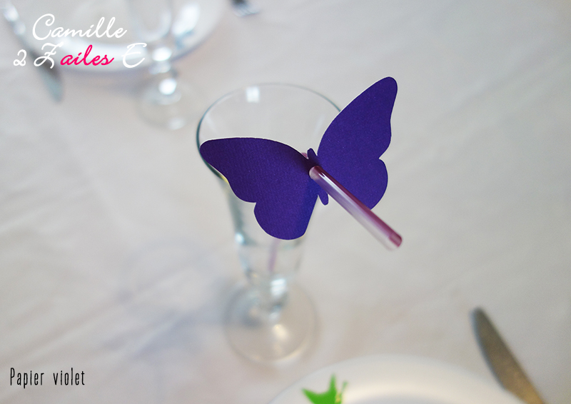 paille papillon